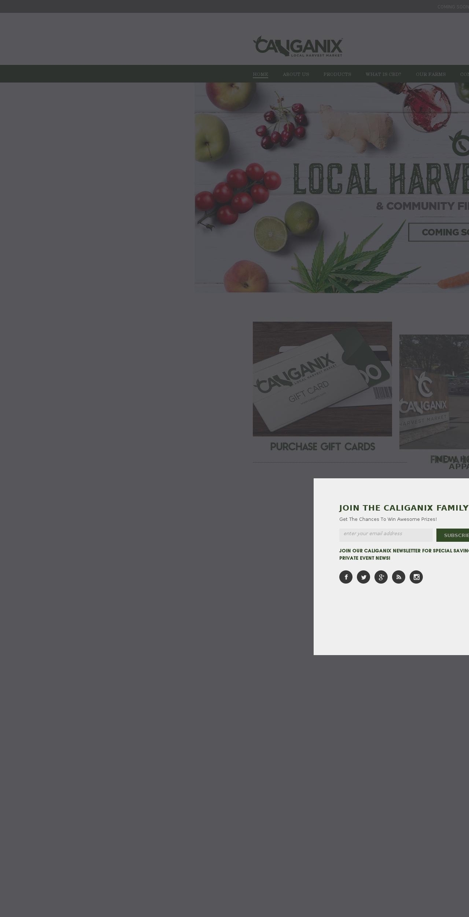 caliganix.com shopify website screenshot