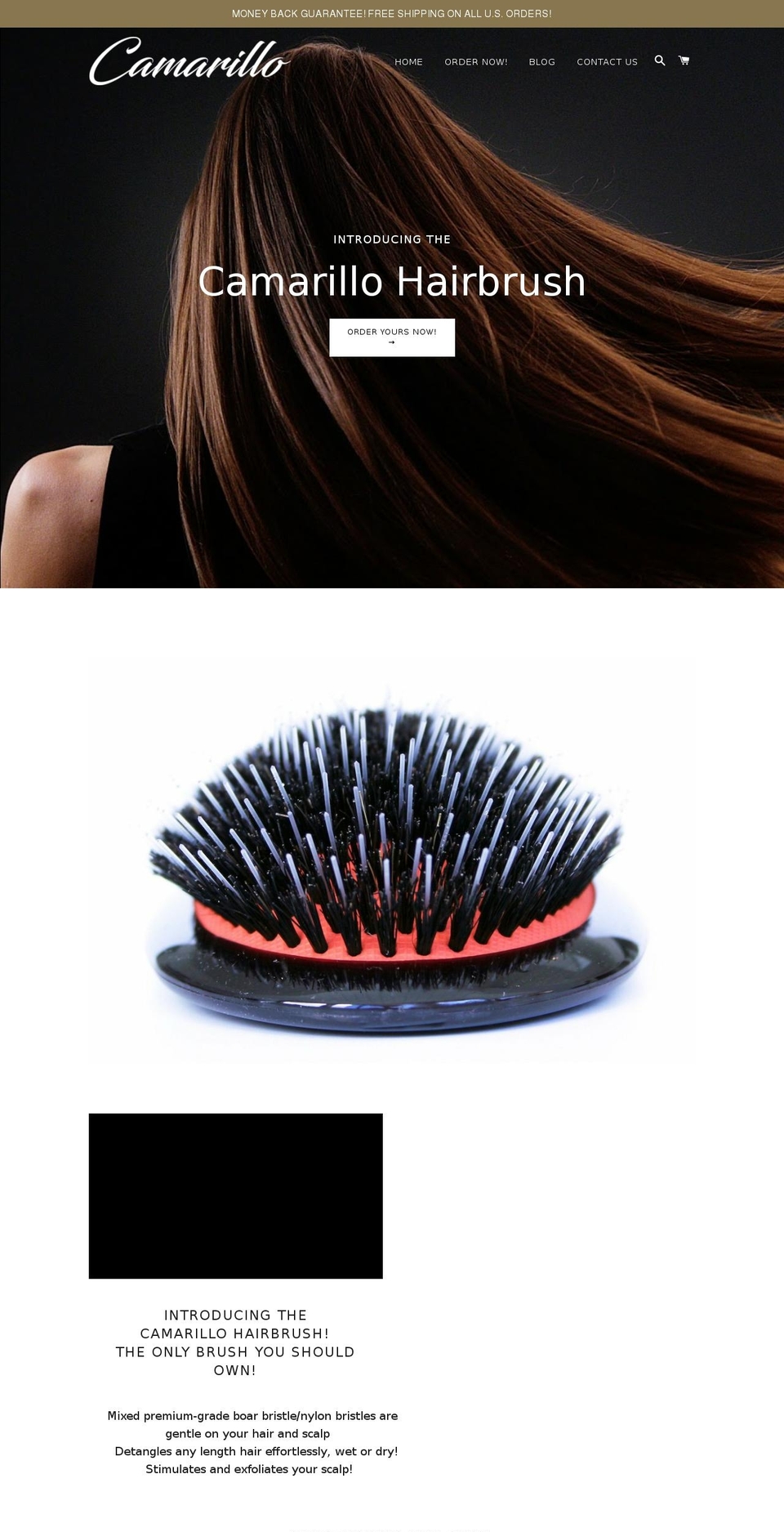 camarillohairbrush.com — Shopify storefront screenshot