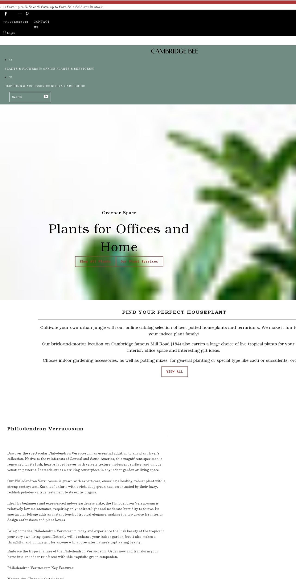 cambridgebee.com shopify website screenshot