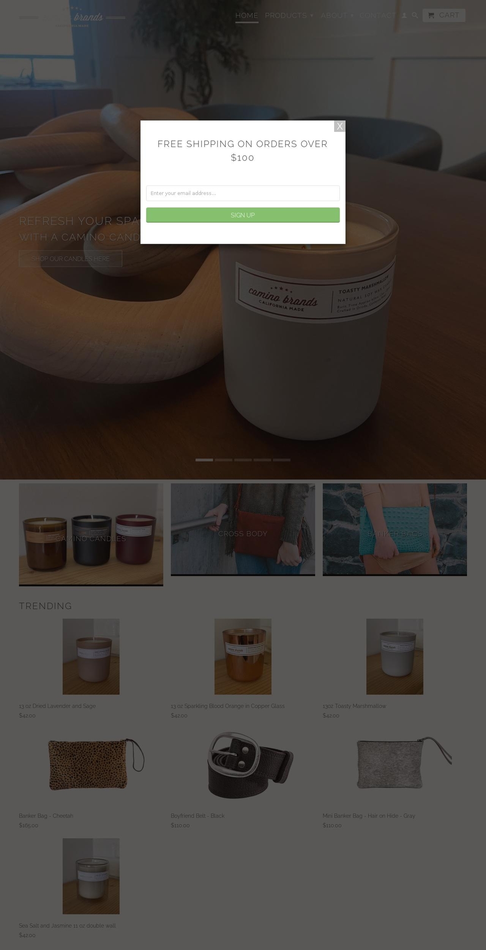 camino-brands.myshopify.com — Shopify storefront screenshot