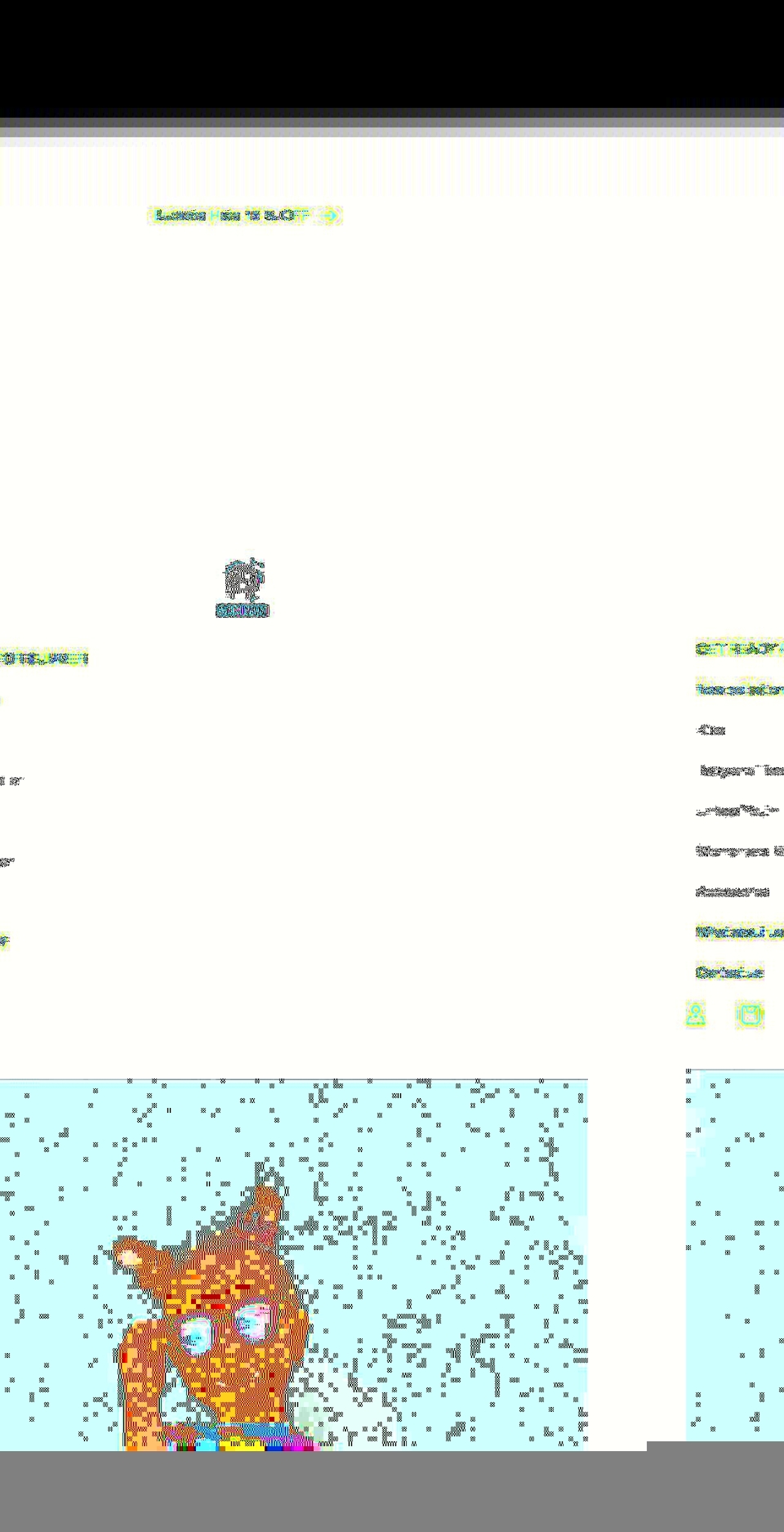 camivan.com shopify website screenshot