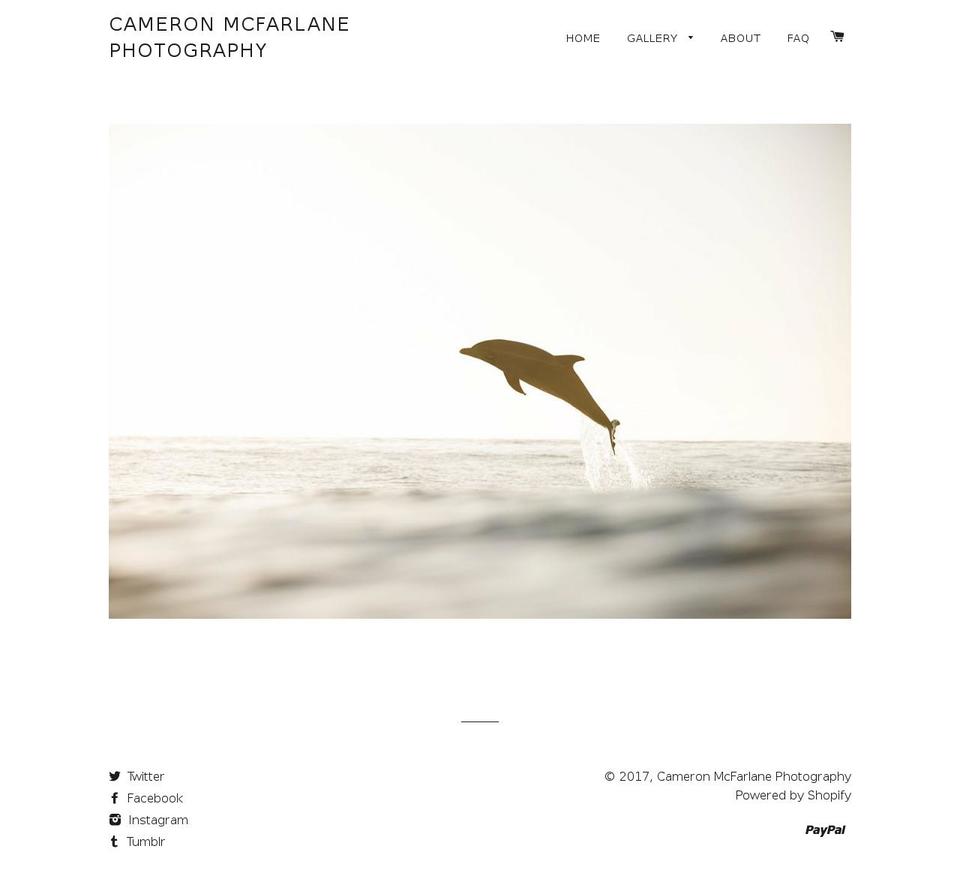 cammcfarlane.com shopify website screenshot