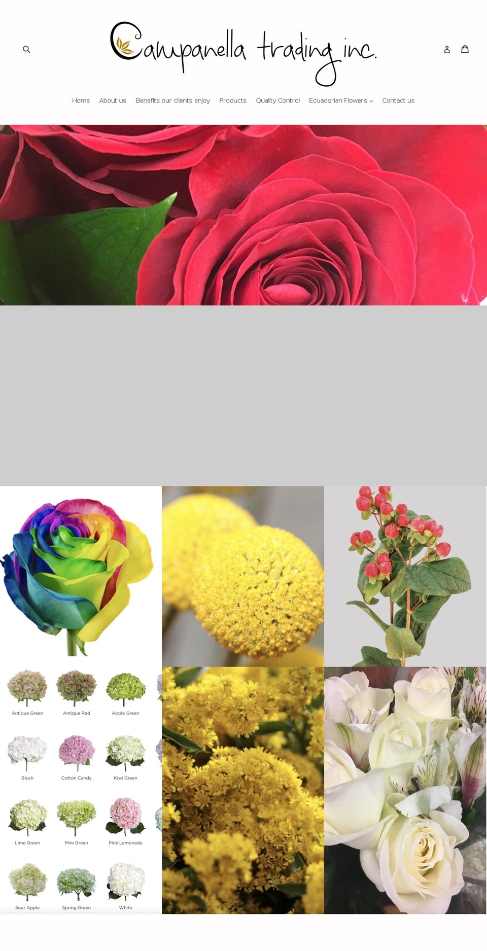 campanellatrading.com — Shopify storefront screenshot