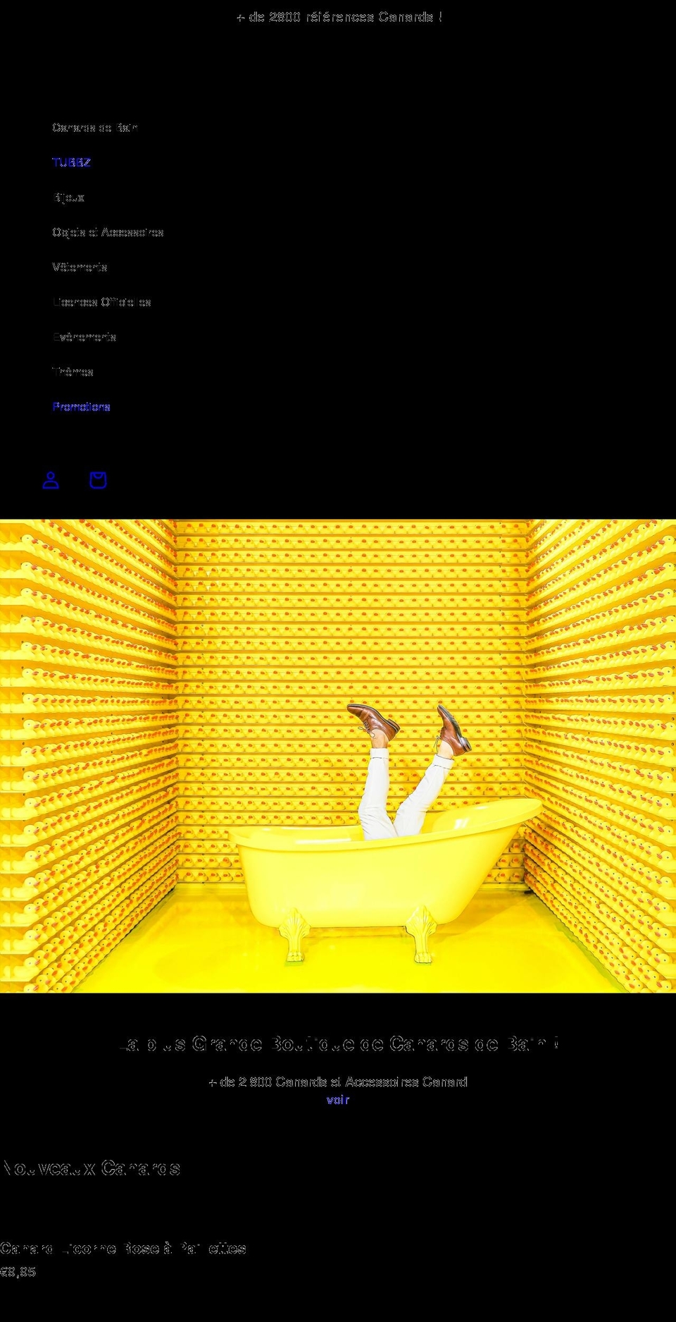 canarddebain.com shopify website screenshot