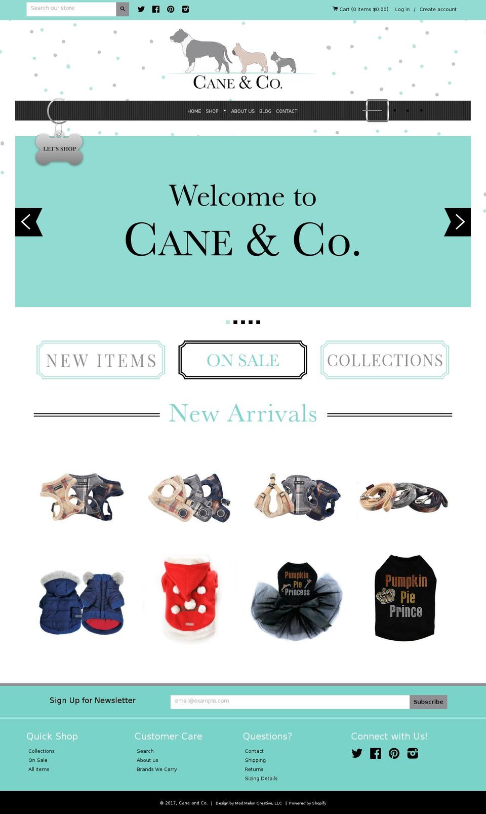 caneandcompany.com shopify website screenshot