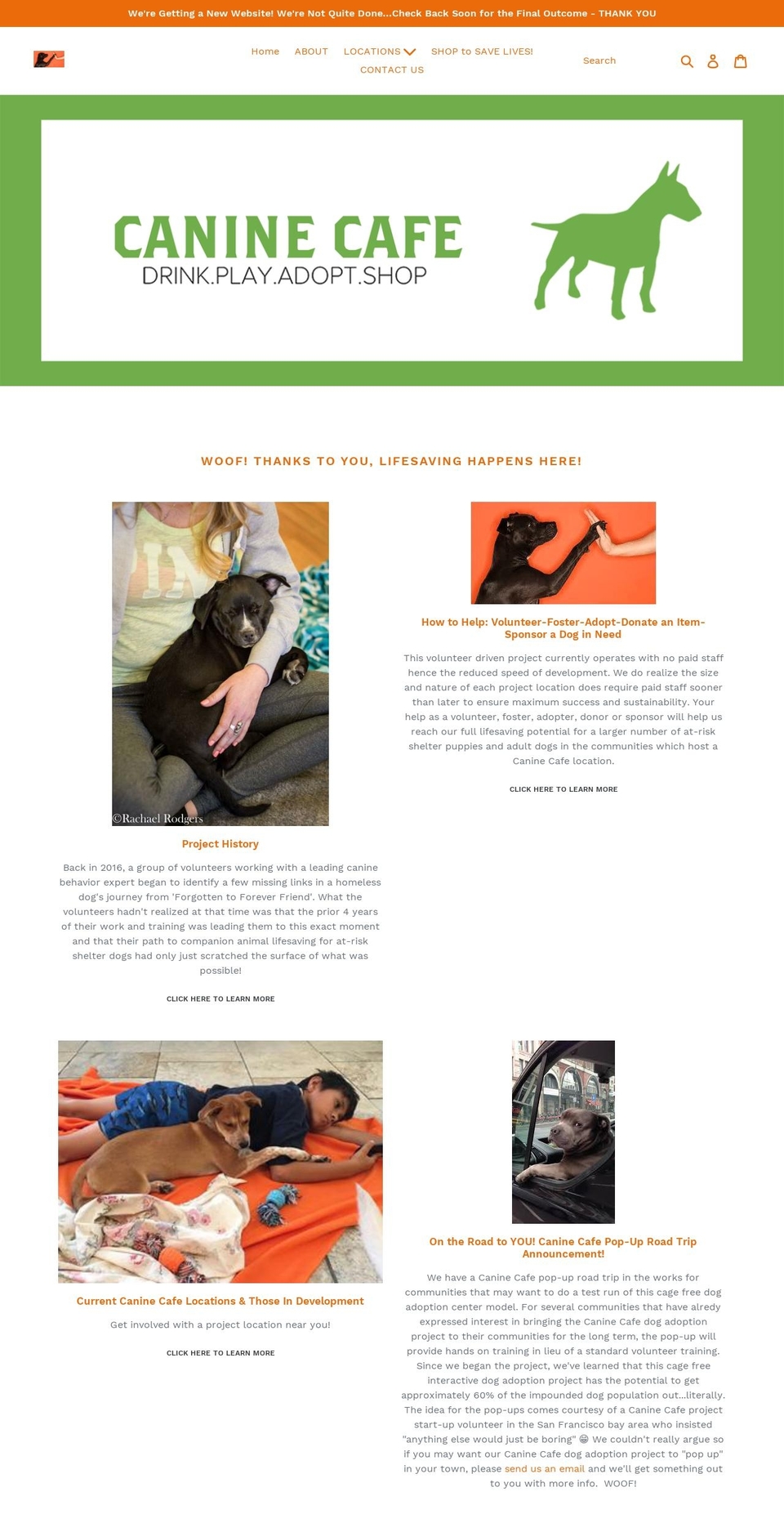 caninecafe.org shopify website screenshot