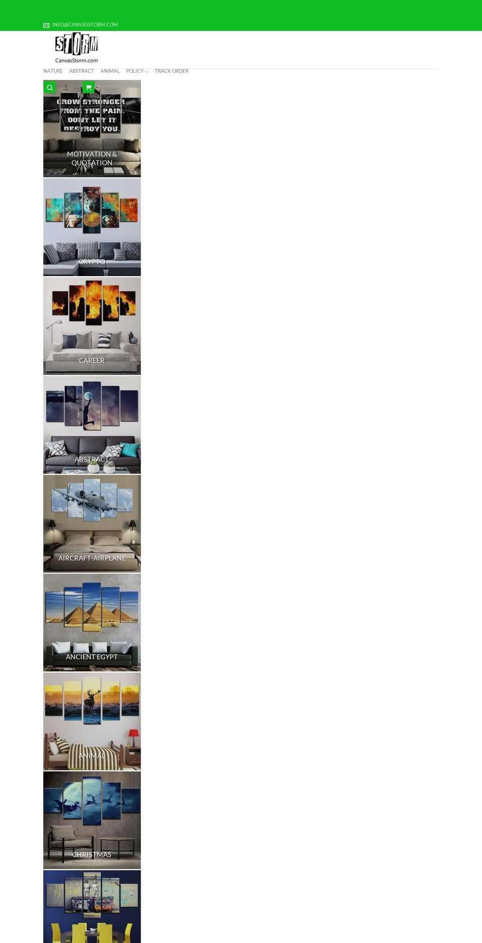canvasstorm.com — Shopify storefront screenshot