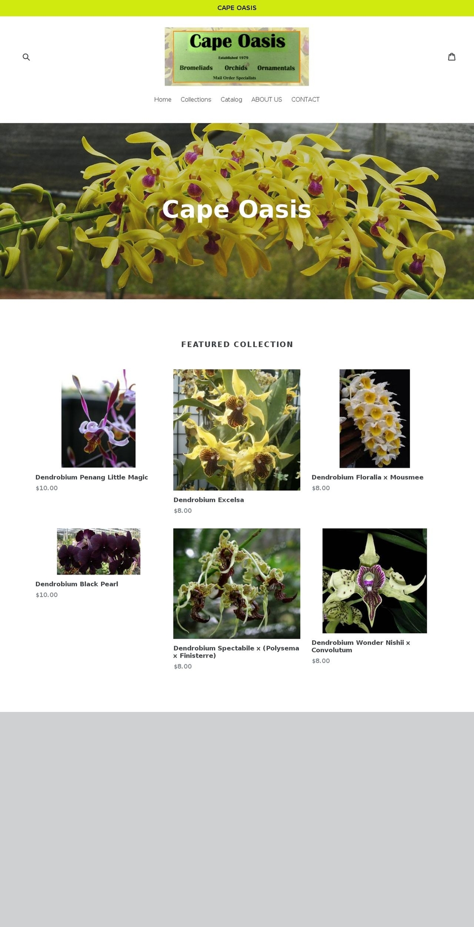 capeoasis.net shopify website screenshot