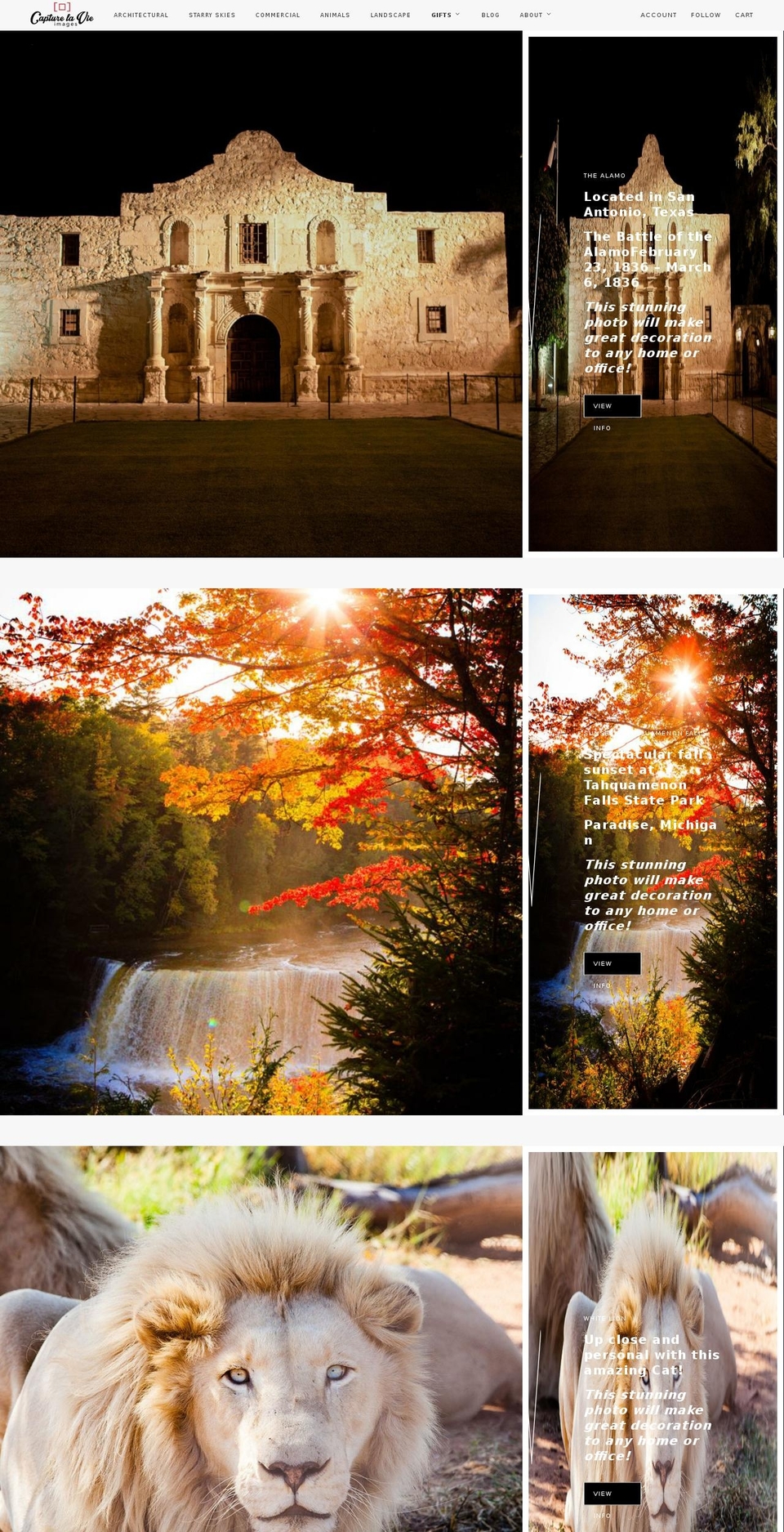 capturelavieimages.com — Shopify storefront screenshot