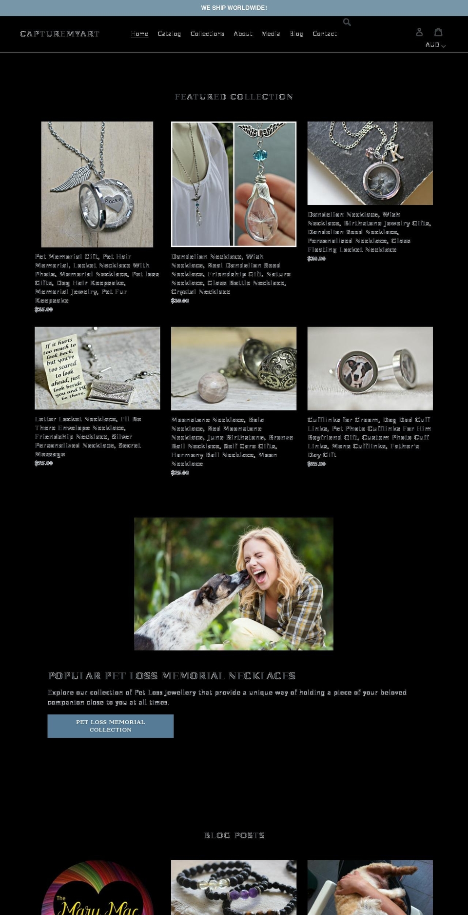 capturemyart.com.au shopify website screenshot