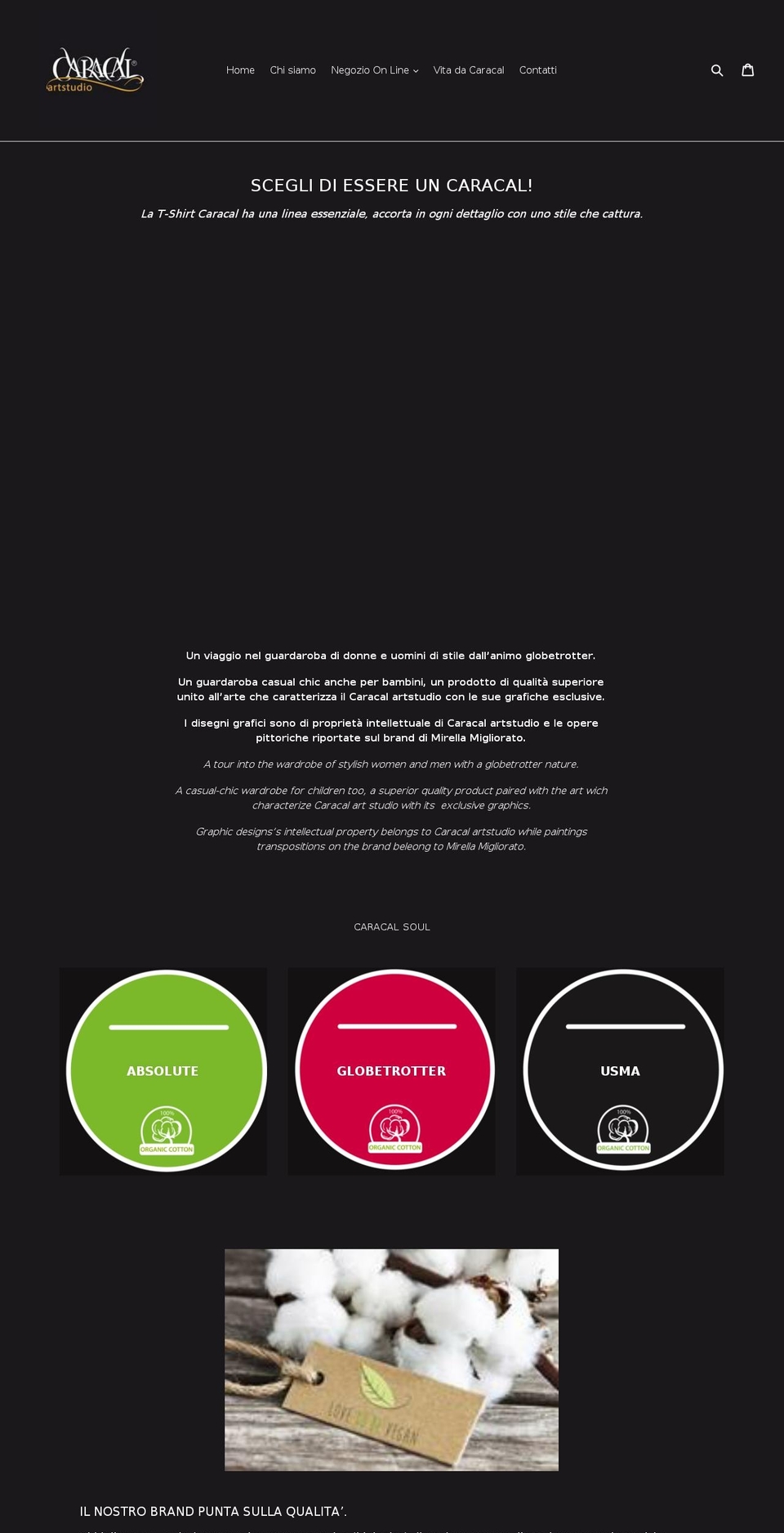 caracalartstudio.com — Shopify storefront screenshot