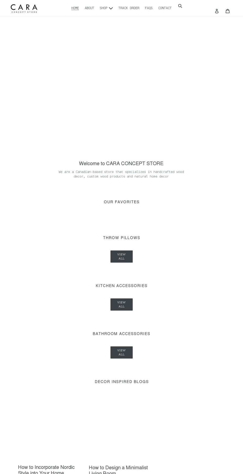 caraconceptstore.com shopify website screenshot