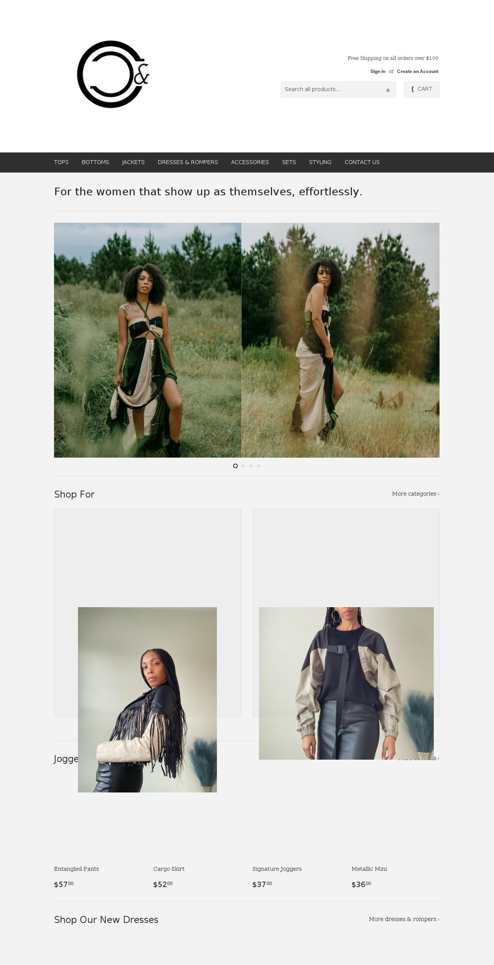 carefulandcareless.com — Shopify storefront screenshot
