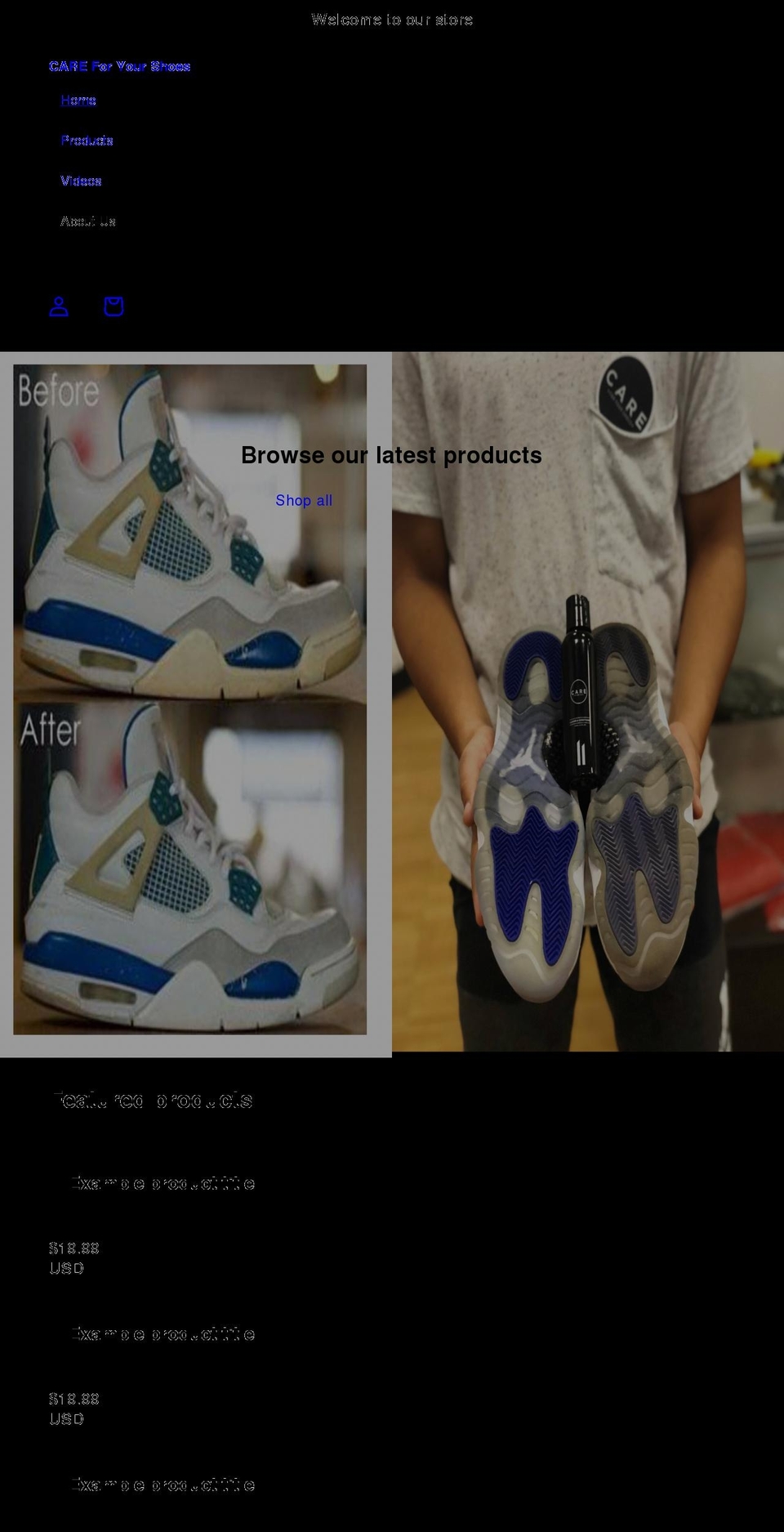 careshoecleaner.com — Shopify storefront screenshot