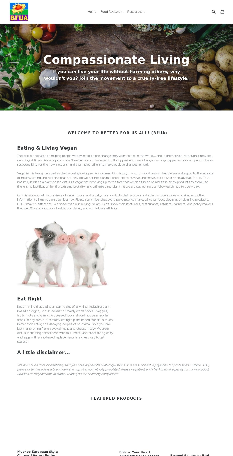 caringis.com — Shopify storefront screenshot