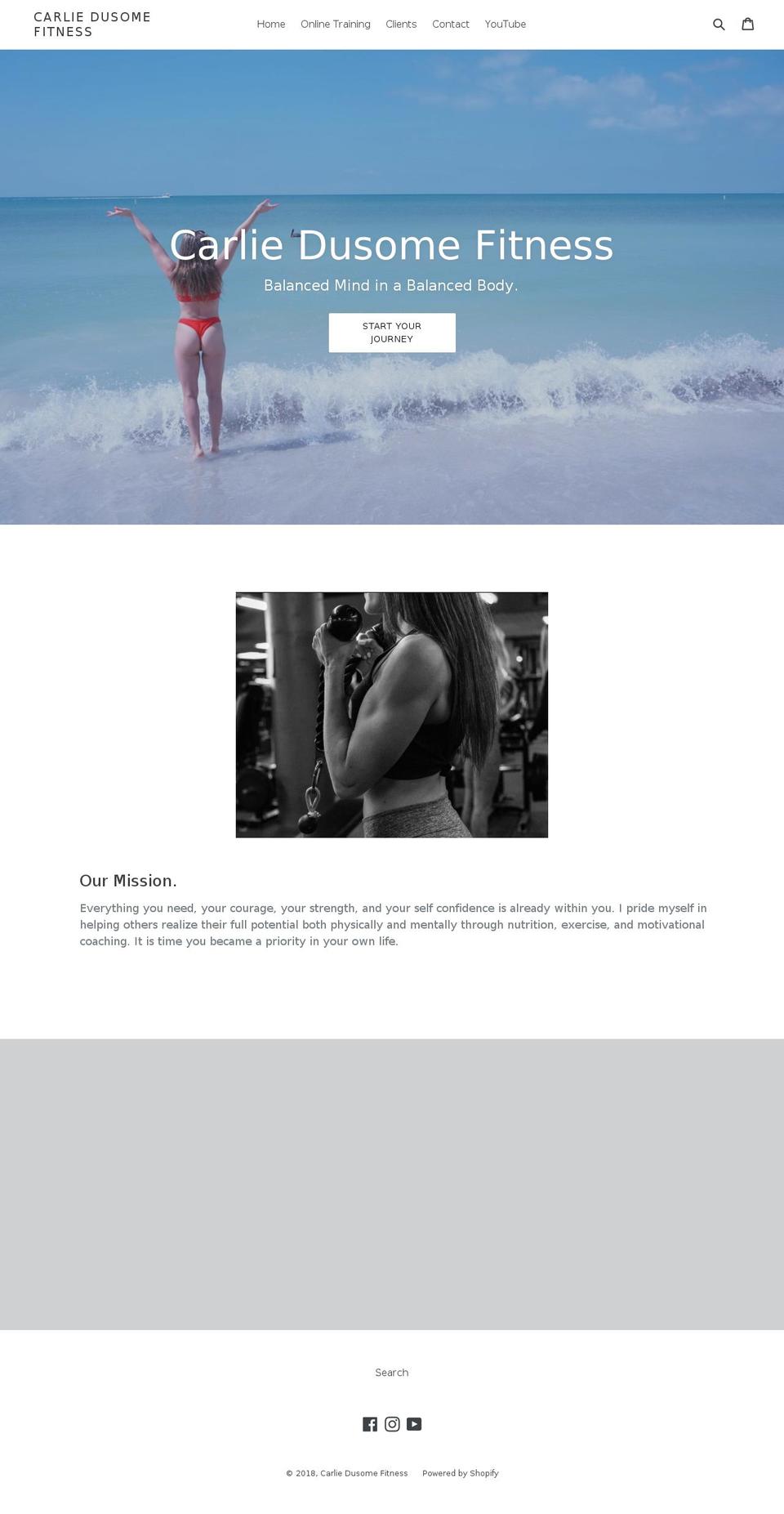 carliedusomefitness.com shopify website screenshot
