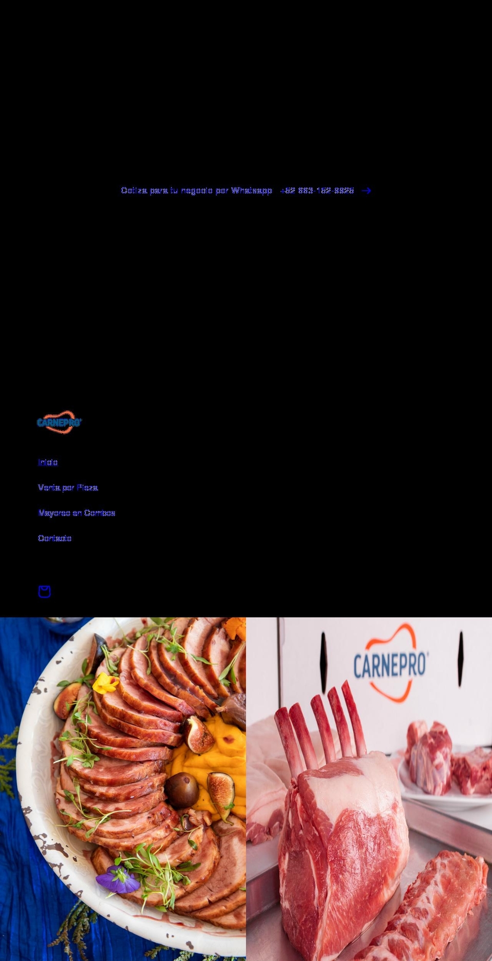 carnepro.com shopify website screenshot