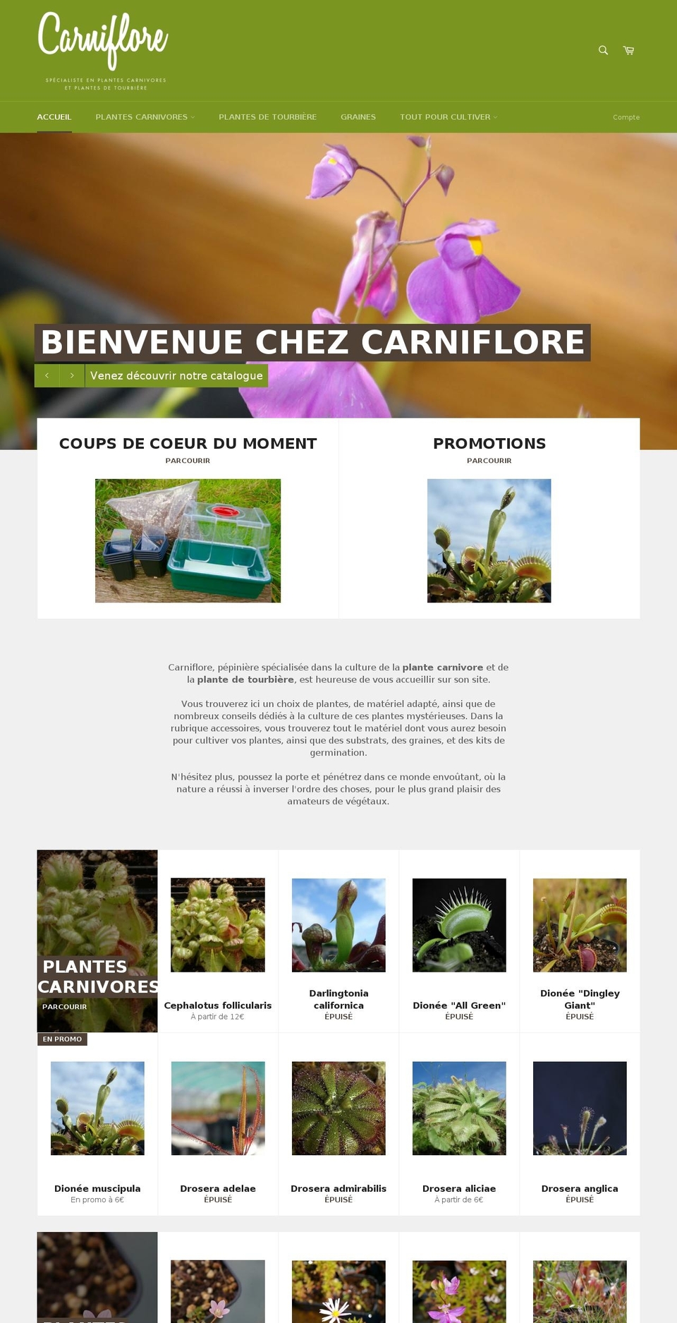 carniflore.com shopify website screenshot