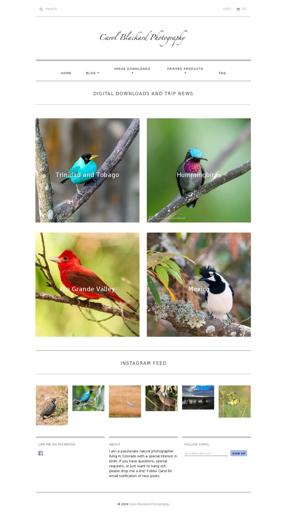 carolblackard.com — Shopify storefront screenshot