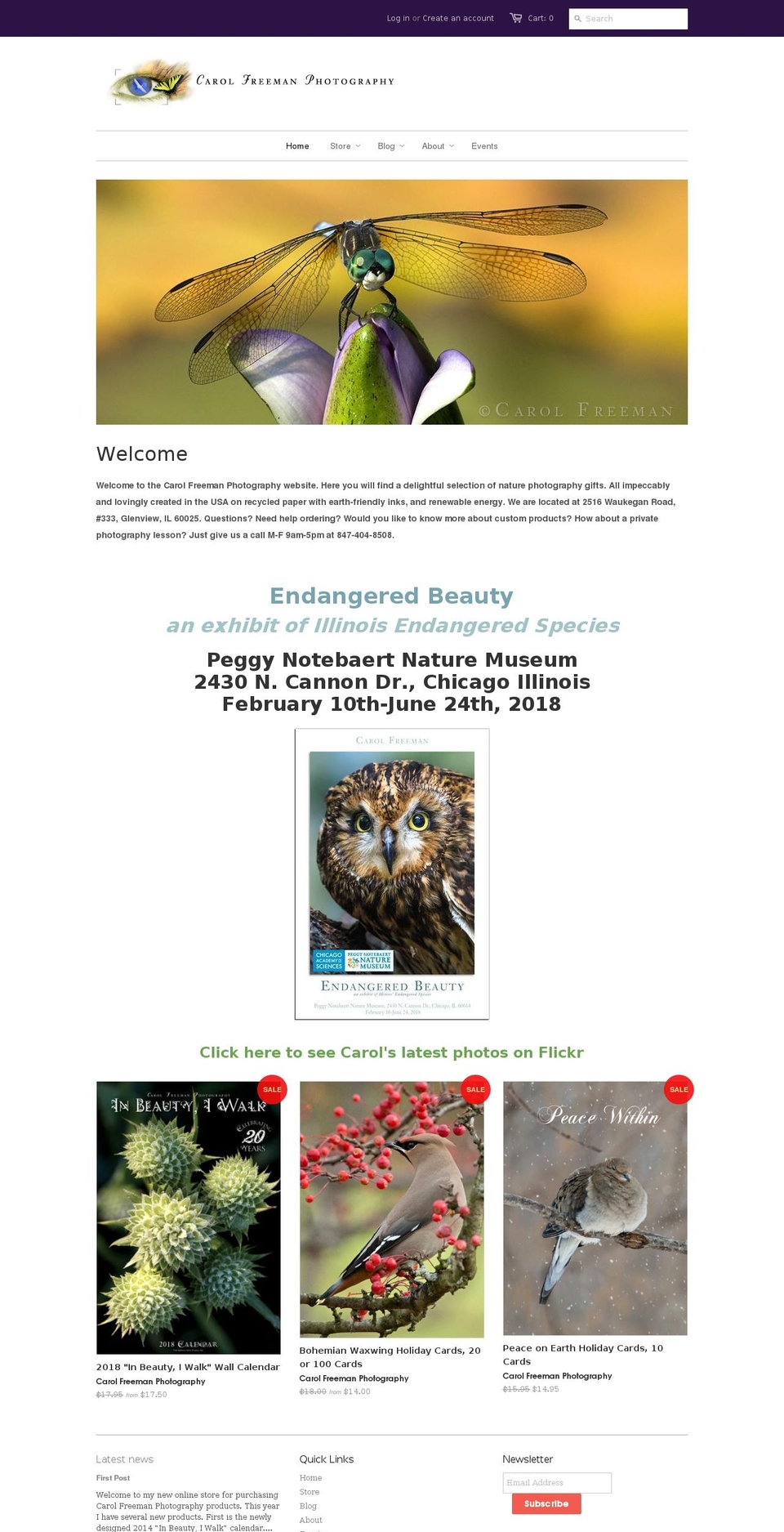 carolfreeman.com — Shopify storefront screenshot