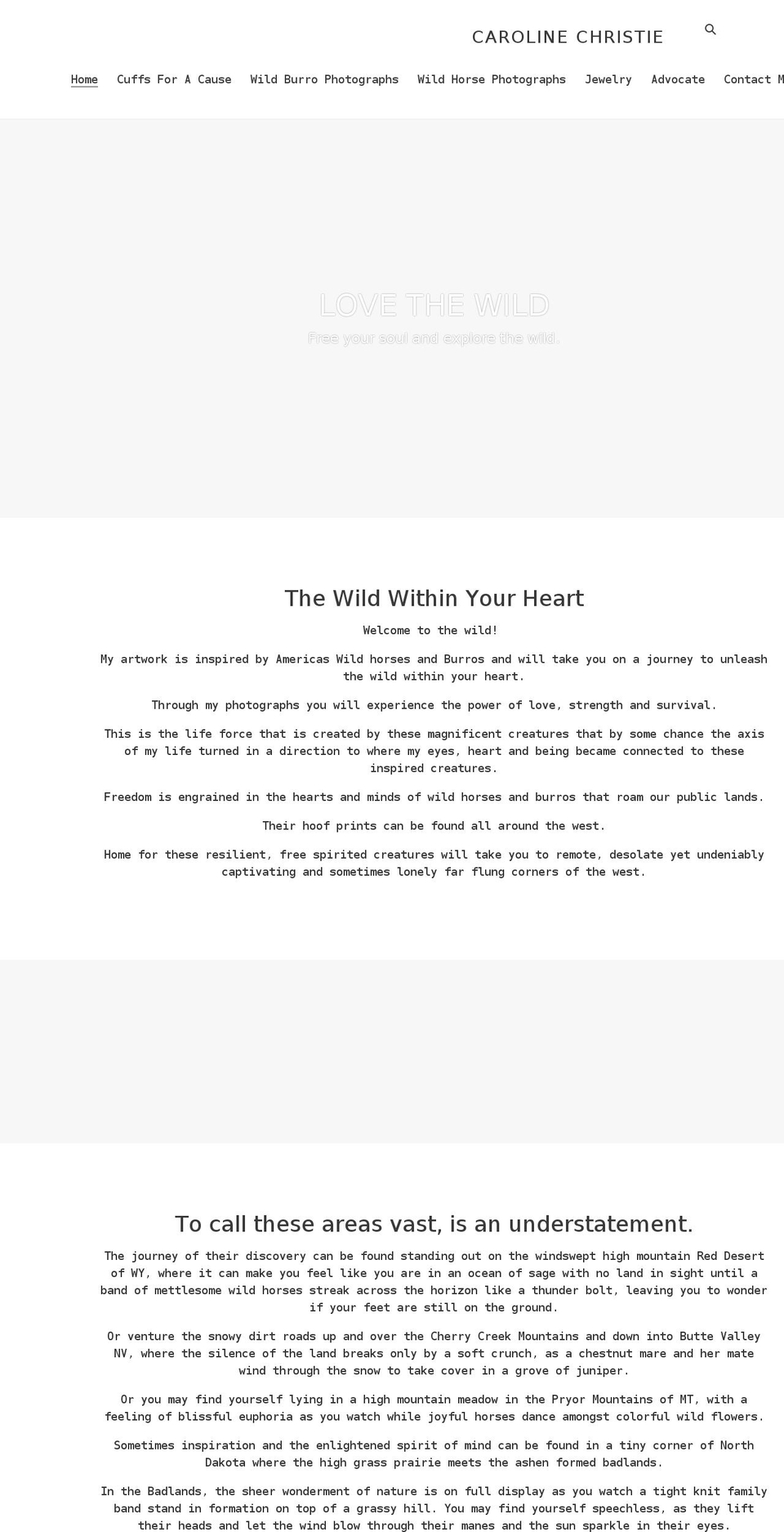 carolinechristieart.com shopify website screenshot