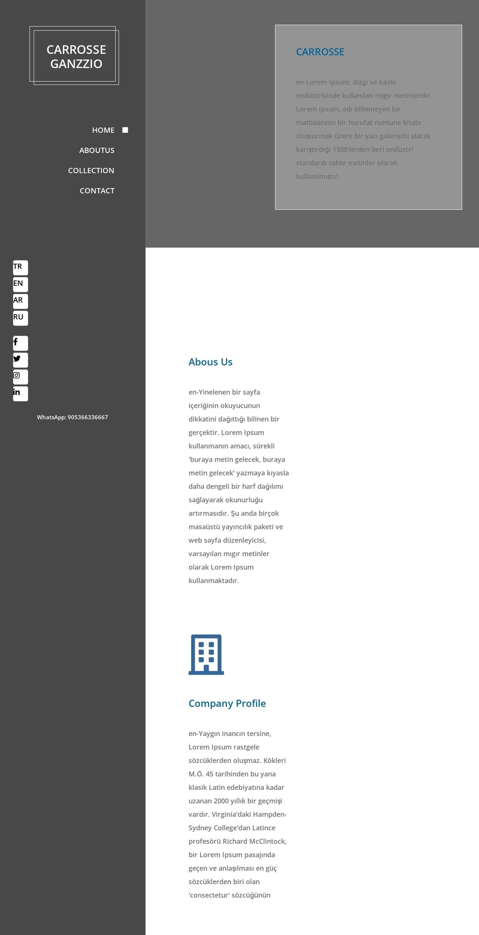 carrosse.net shopify website screenshot