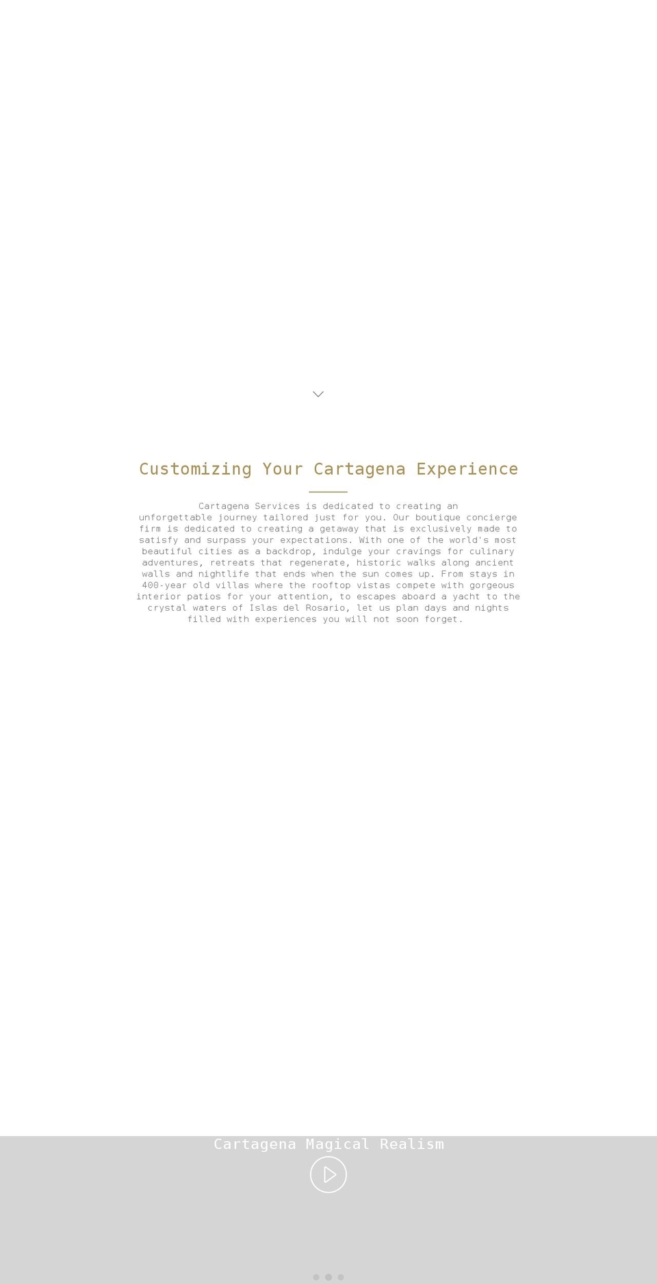 cartagenaservices.com shopify website screenshot