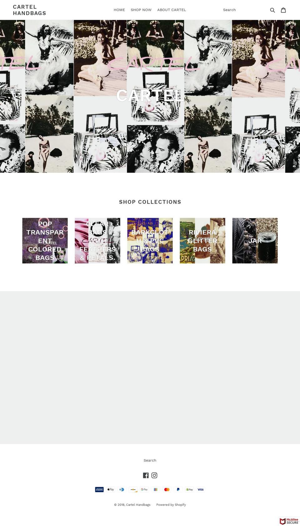 cartelhandbags.com — Shopify storefront screenshot