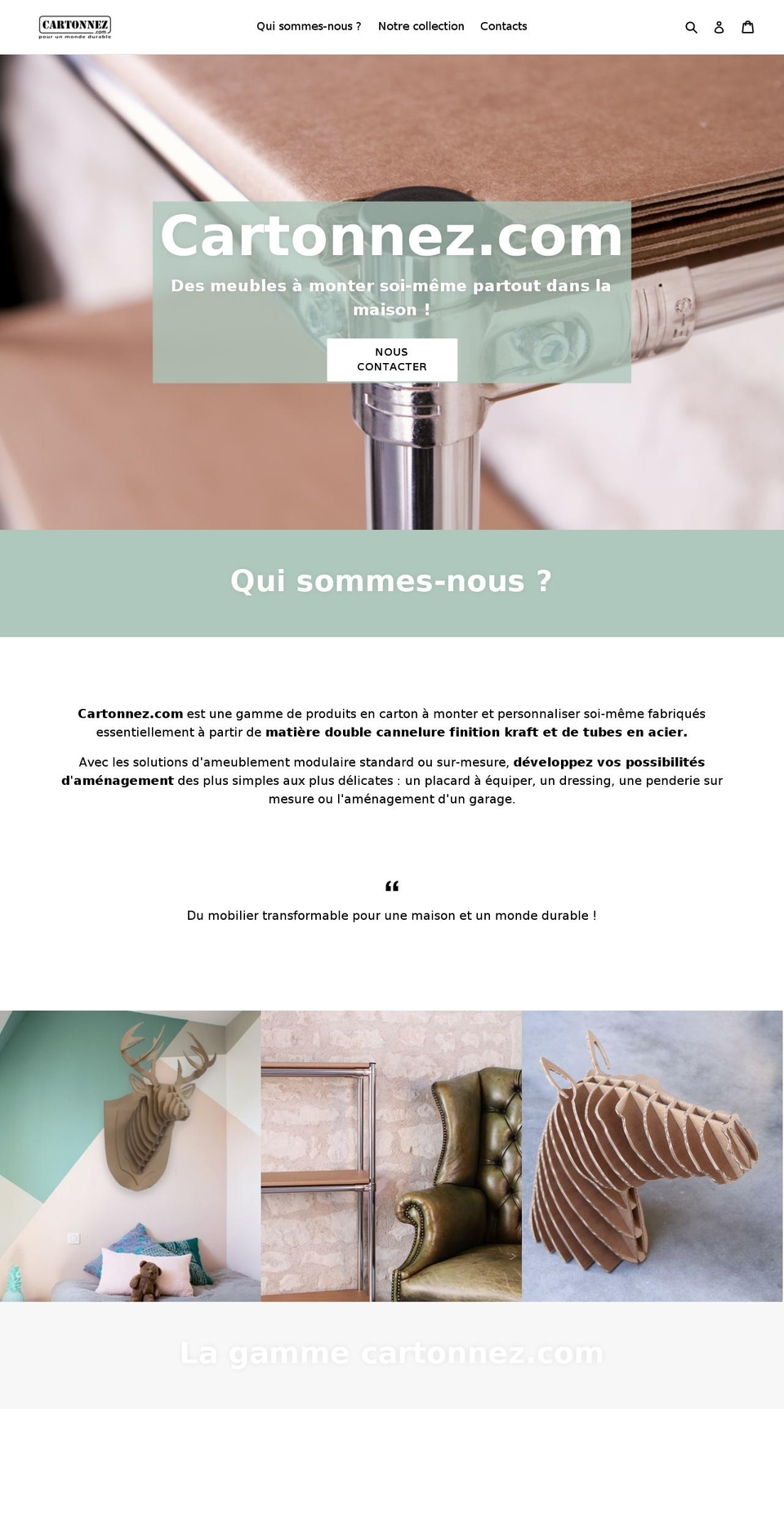 cartonnez.com shopify website screenshot