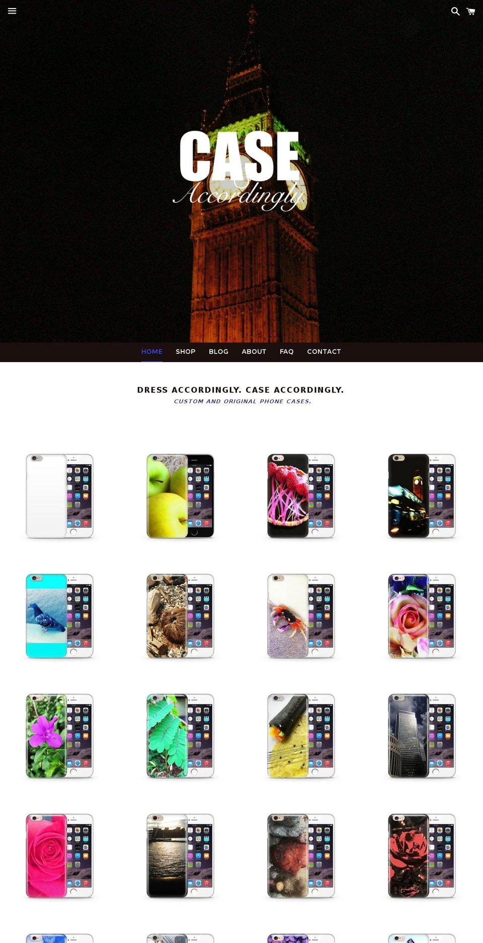 caseaccordingly.com shopify website screenshot