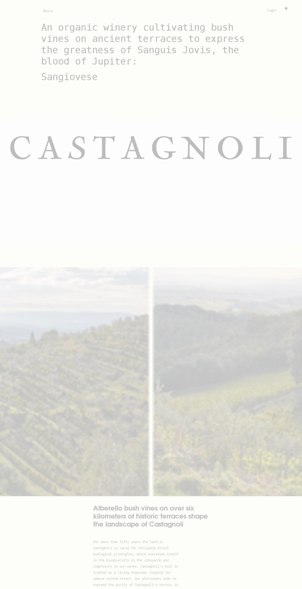 castagnoliwine.com shopify website screenshot