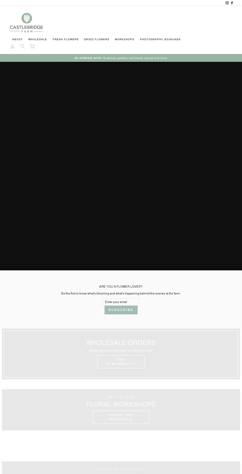 castlebridgefarm.com shopify website screenshot