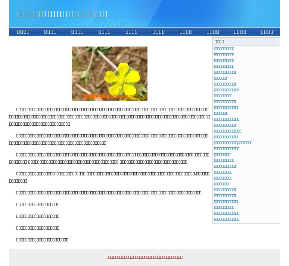 catabellacouture.com — Shopify storefront screenshot