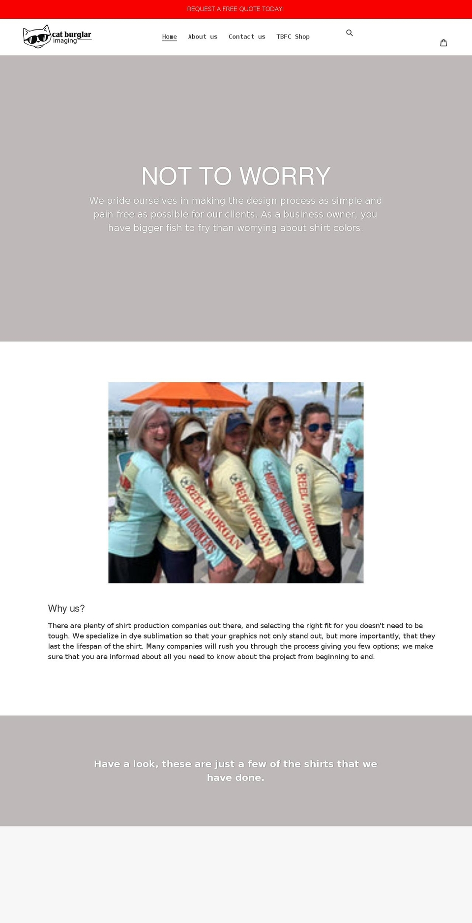 catburglarimaging.com shopify website screenshot