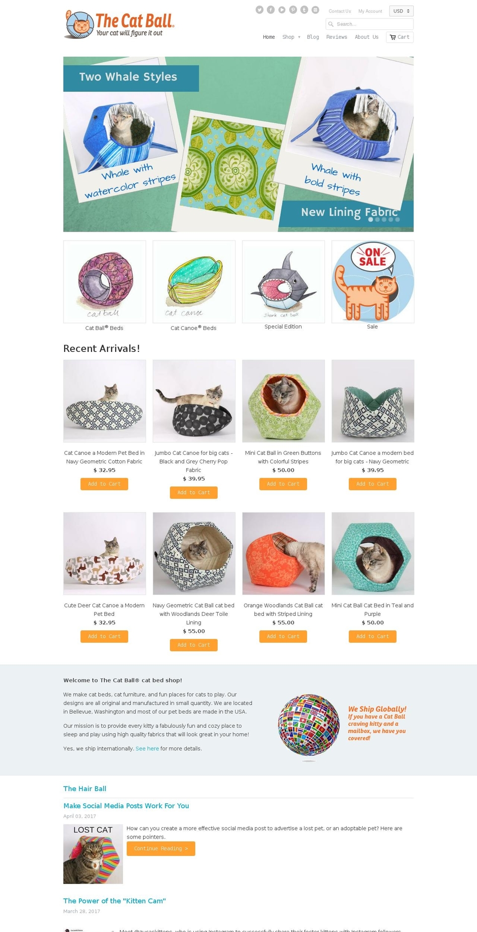 catcanoodle.us shopify website screenshot