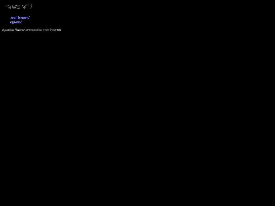 catsclan.com shopify website screenshot