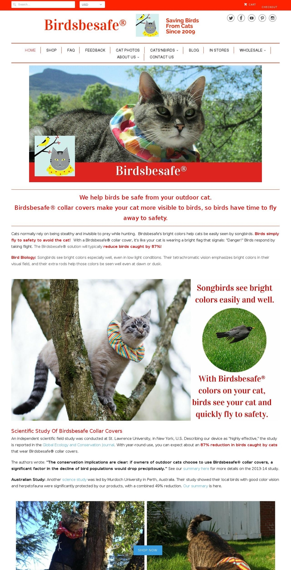 catsnbirds.com — Shopify storefront screenshot