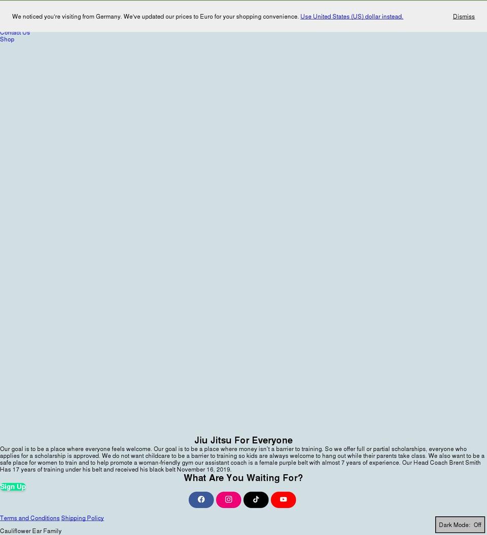 cauliflowerearfamily.com — Shopify storefront screenshot