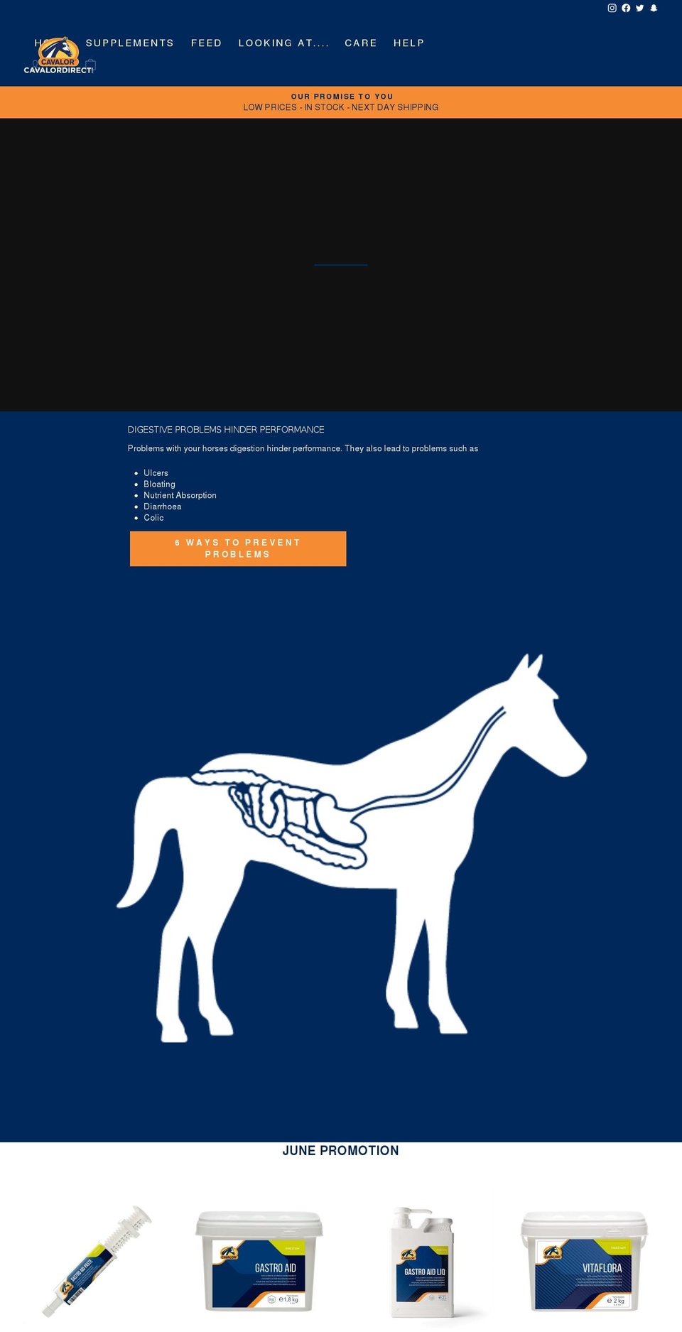 cavalor.horse shopify website screenshot