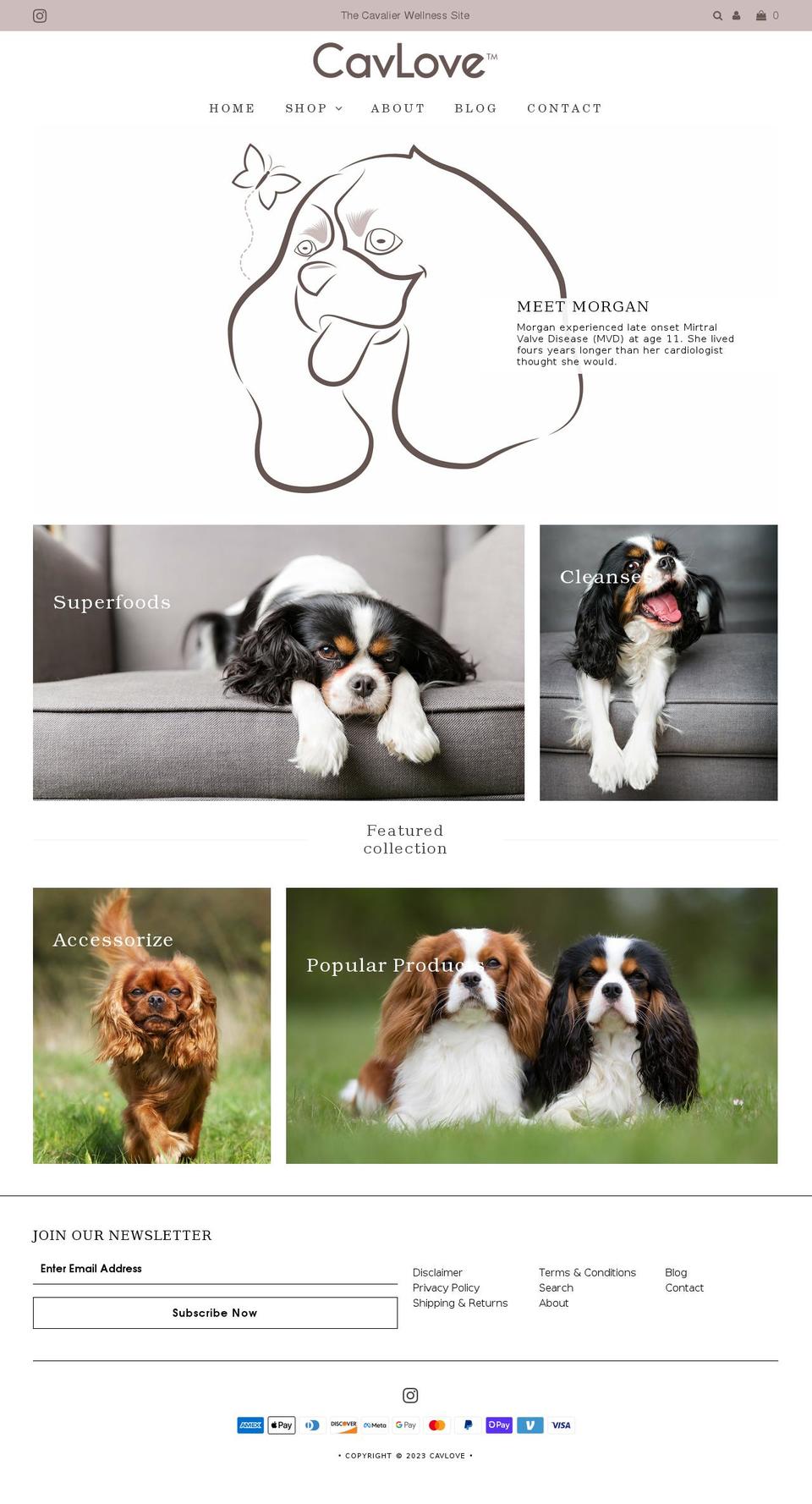 cavlove.com shopify website screenshot