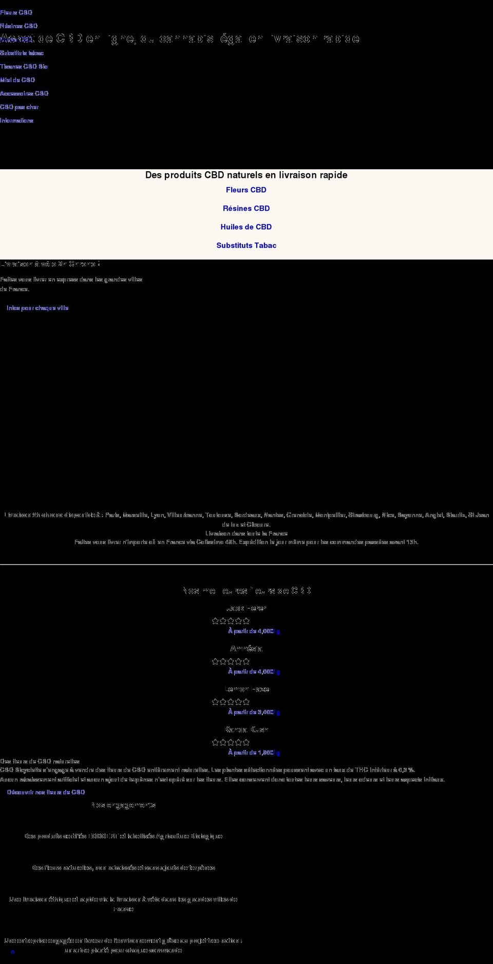 cbdbicyclette.fr shopify website screenshot