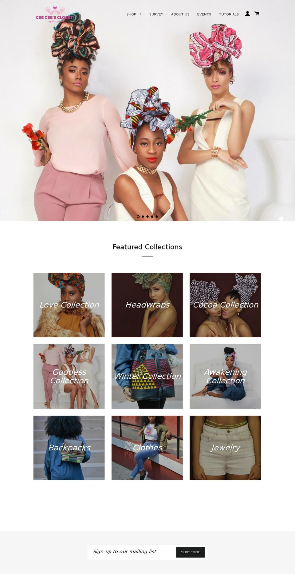 ceeceesclosetnyc.com shopify website screenshot