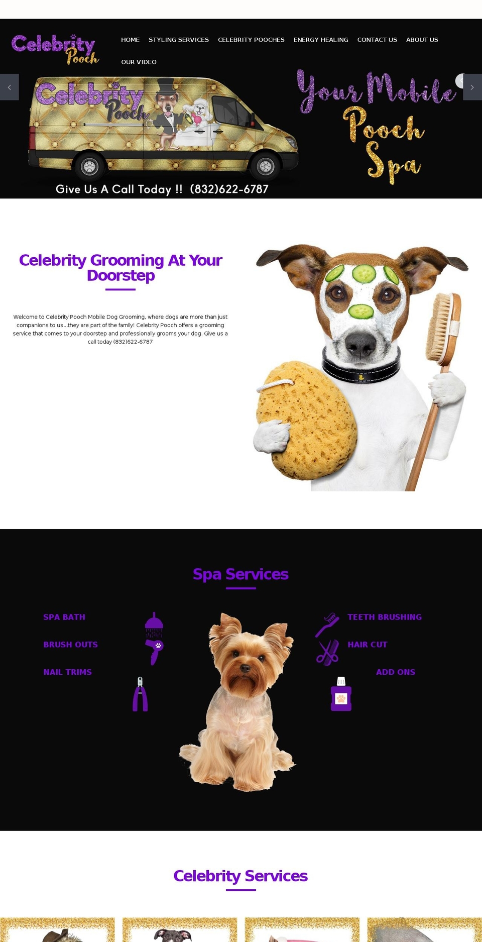 home2 Shopify theme site example celebritypooch.com