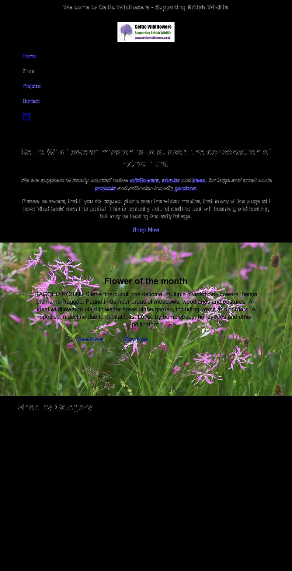 celticwildflowers.co.uk shopify website screenshot