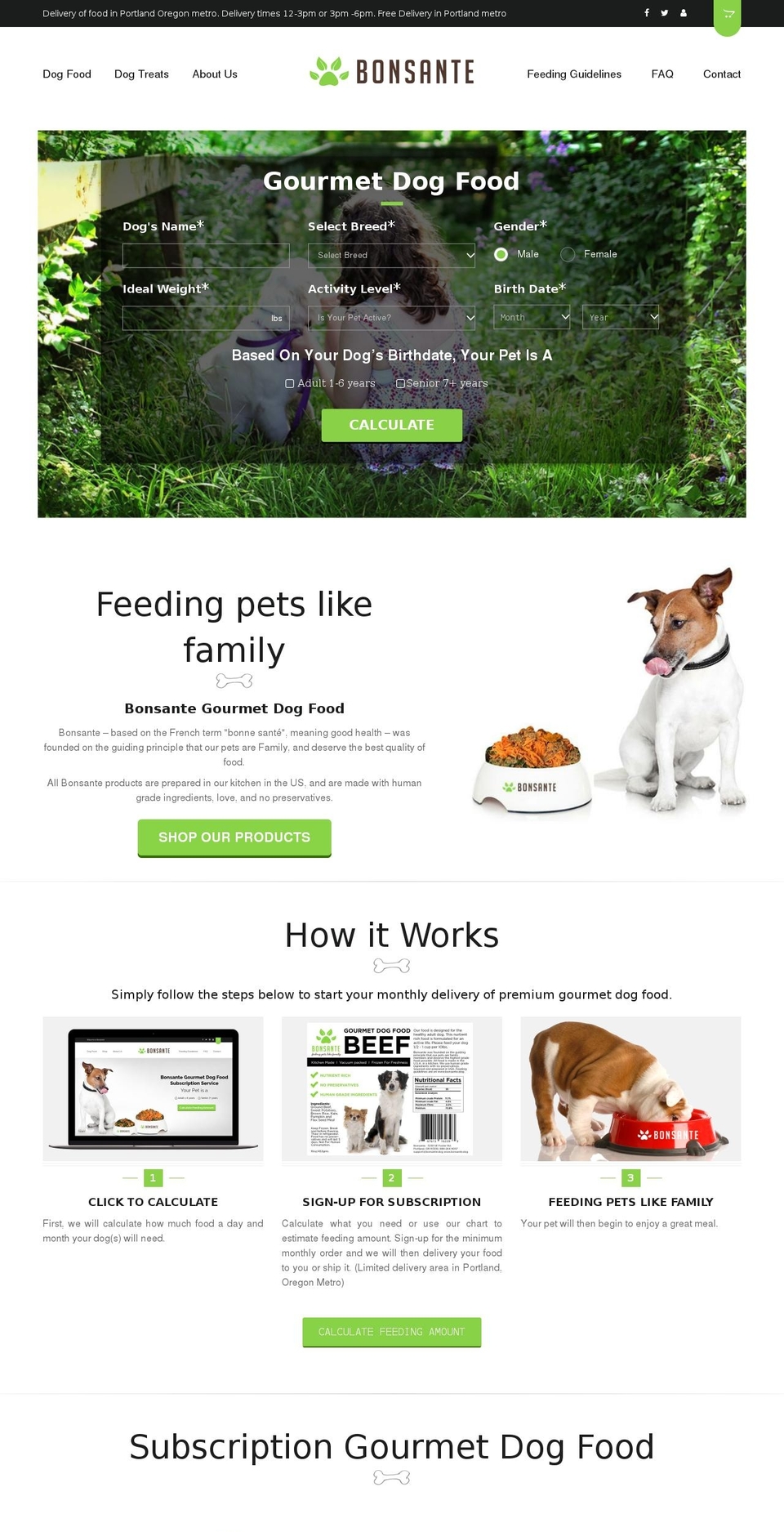 ceo90daychallenge.com shopify website screenshot