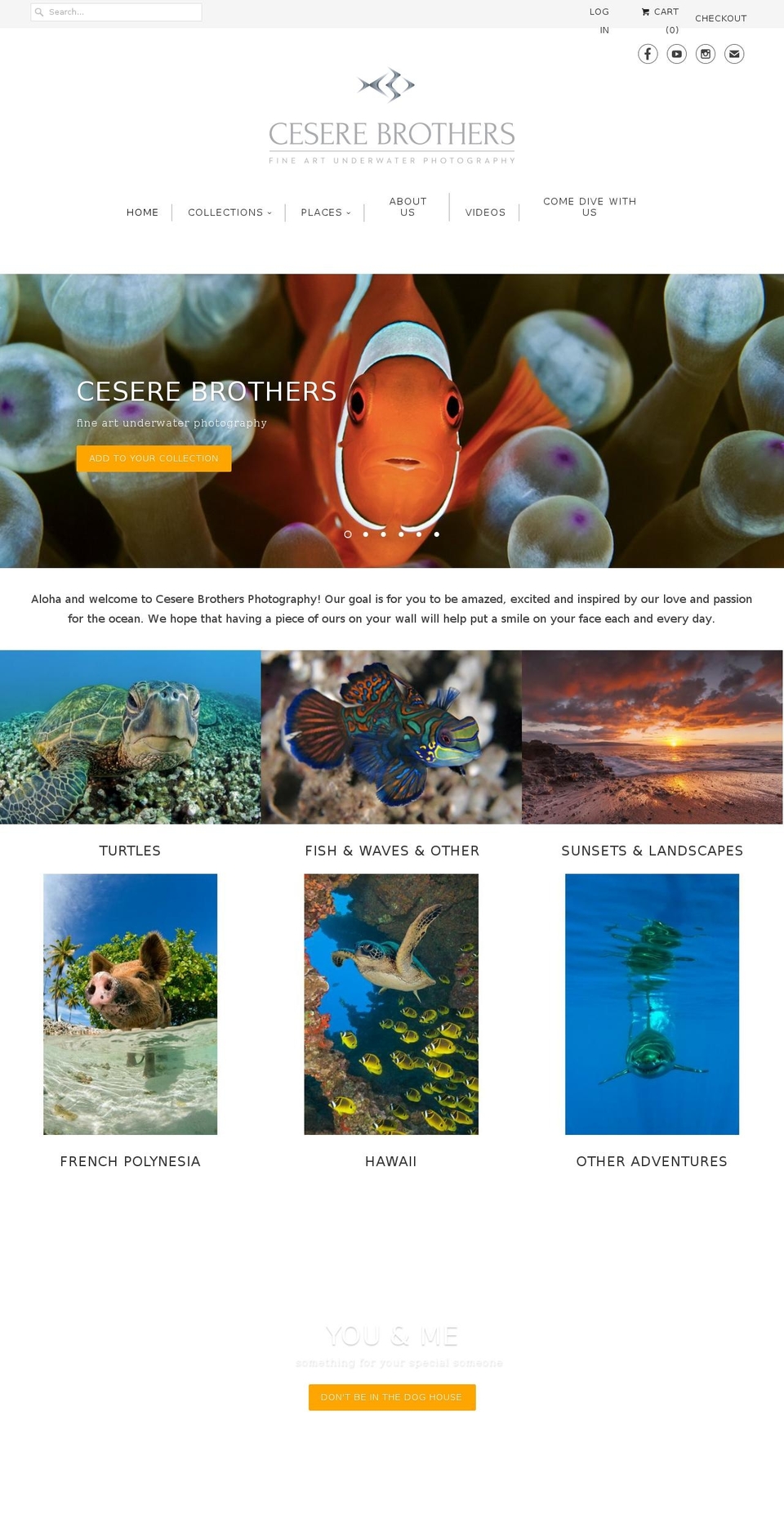 ceserebrothers.com shopify website screenshot