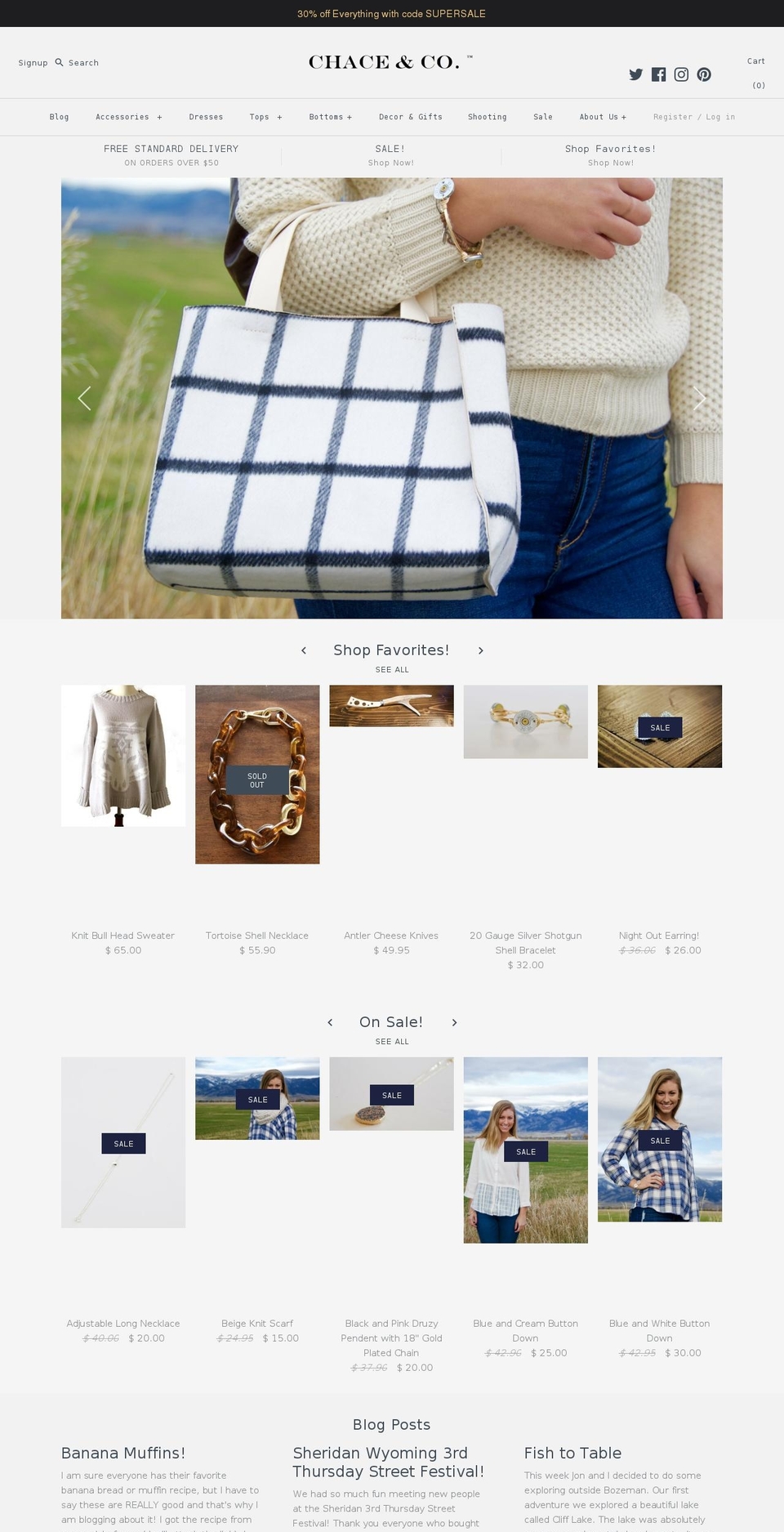 chaceandco.net shopify website screenshot