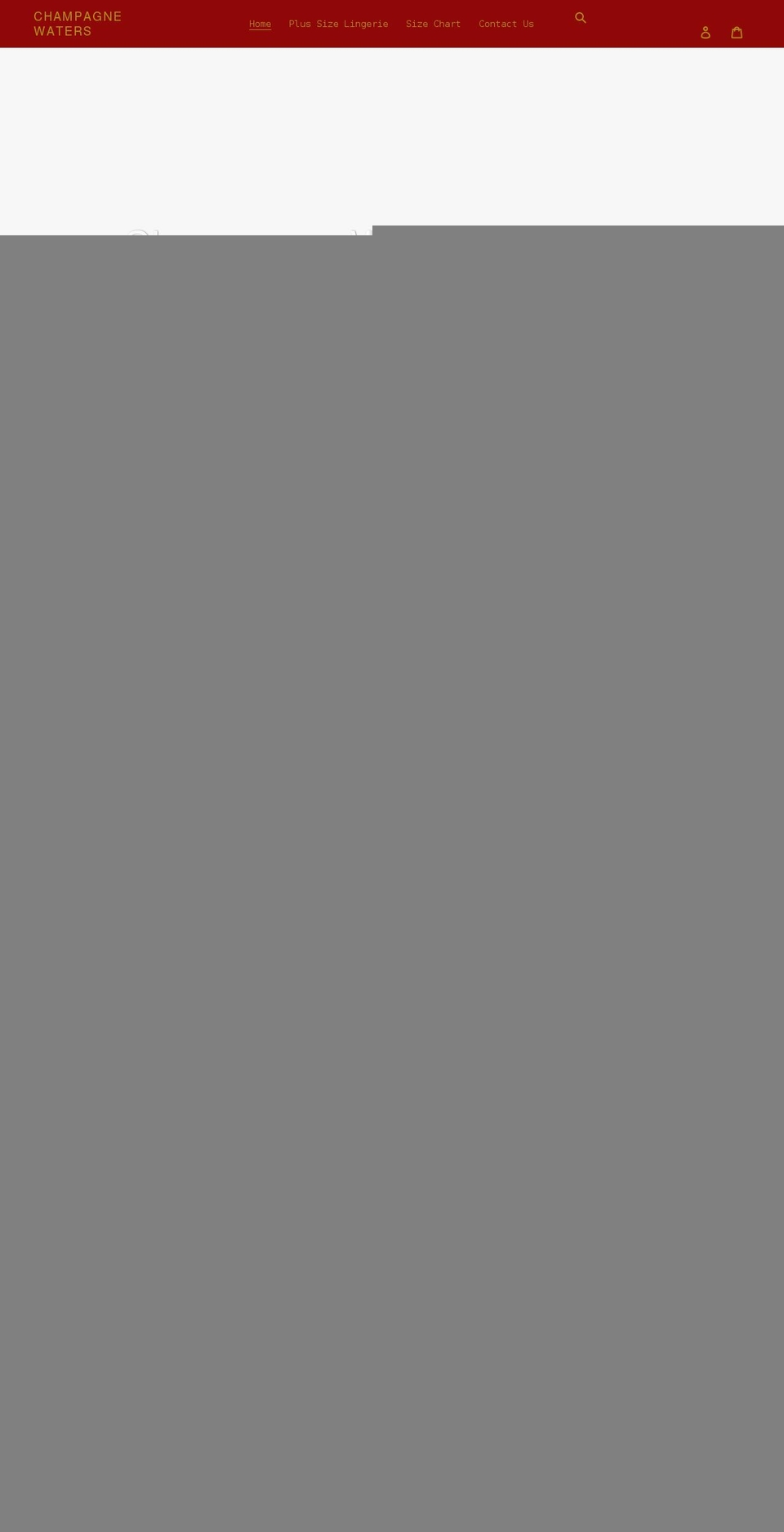 champagneonme.com shopify website screenshot