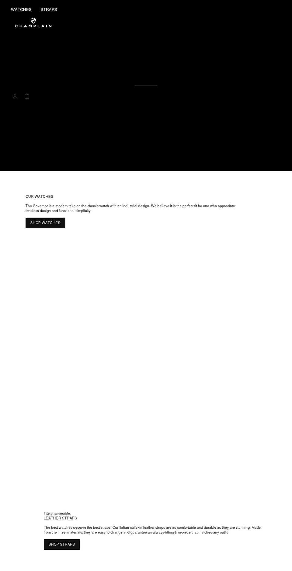 champlainwatch.com — Shopify storefront screenshot