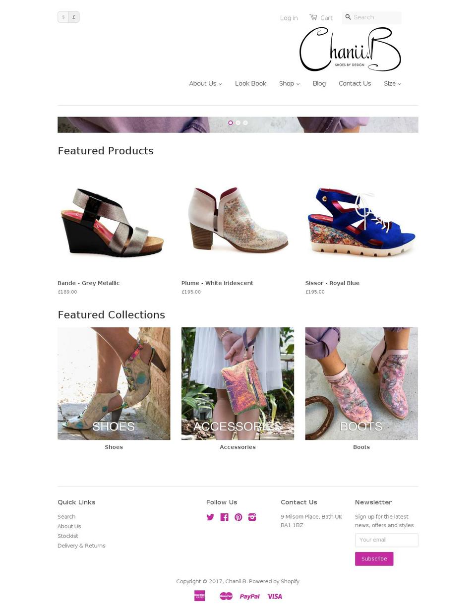 chaniib.com shopify website screenshot